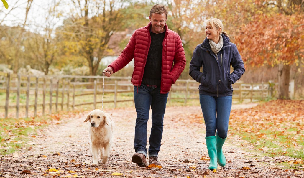 Couple walking their dog in the fall